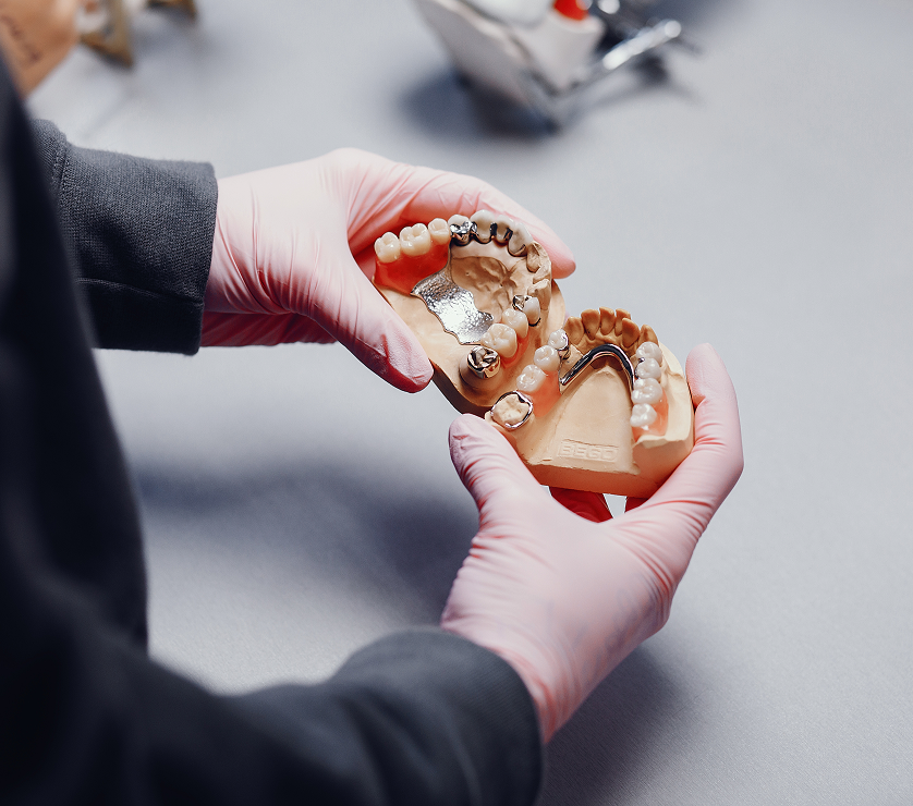 Behavior and Training